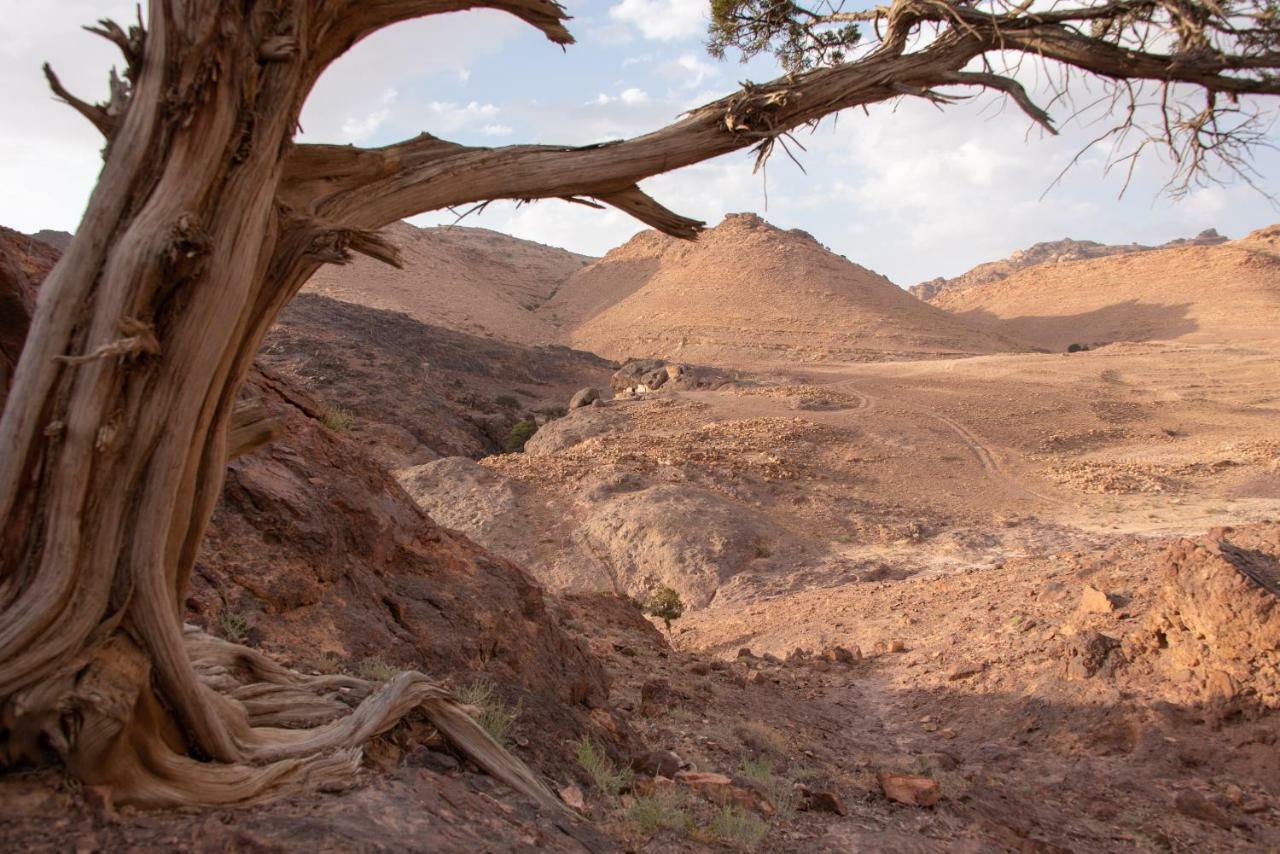 Bed and Breakfast Bedouin Pink Ecohouse Wadi Musa Exterior foto